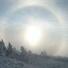 22°-Halo im Eisnebel