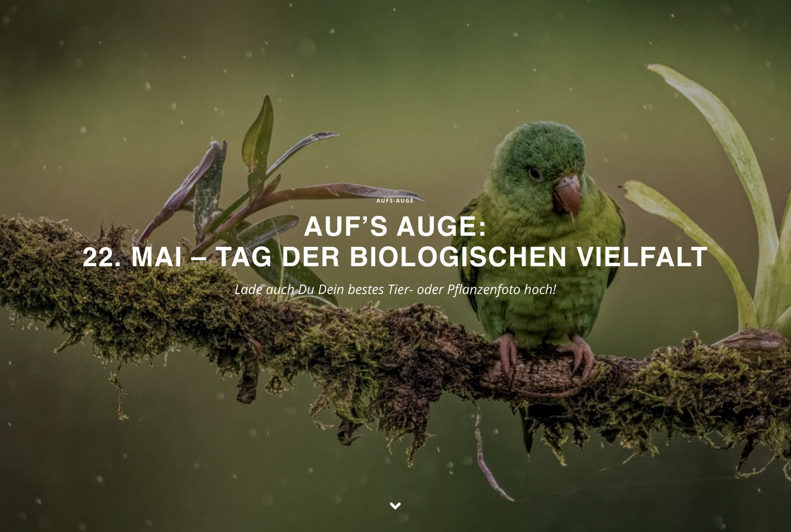 22. Mai 2021 - Tag der biologischen Vielfalt