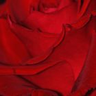 22 rote Rosen um Mitternacht...