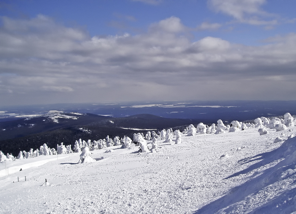 (22)  Winterspaziergang ...