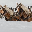 22 Zwei Blondinen im Schnee 22