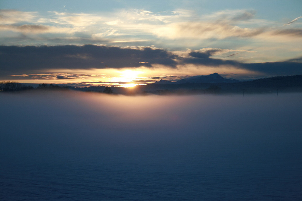 22.01.09 "Angestrahlter Bodennebel" Morgenstimmung