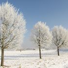 22.01.17 - Noch kein Vorsprung...