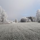  22.01.2020 Weiss so weit das Auge reicht