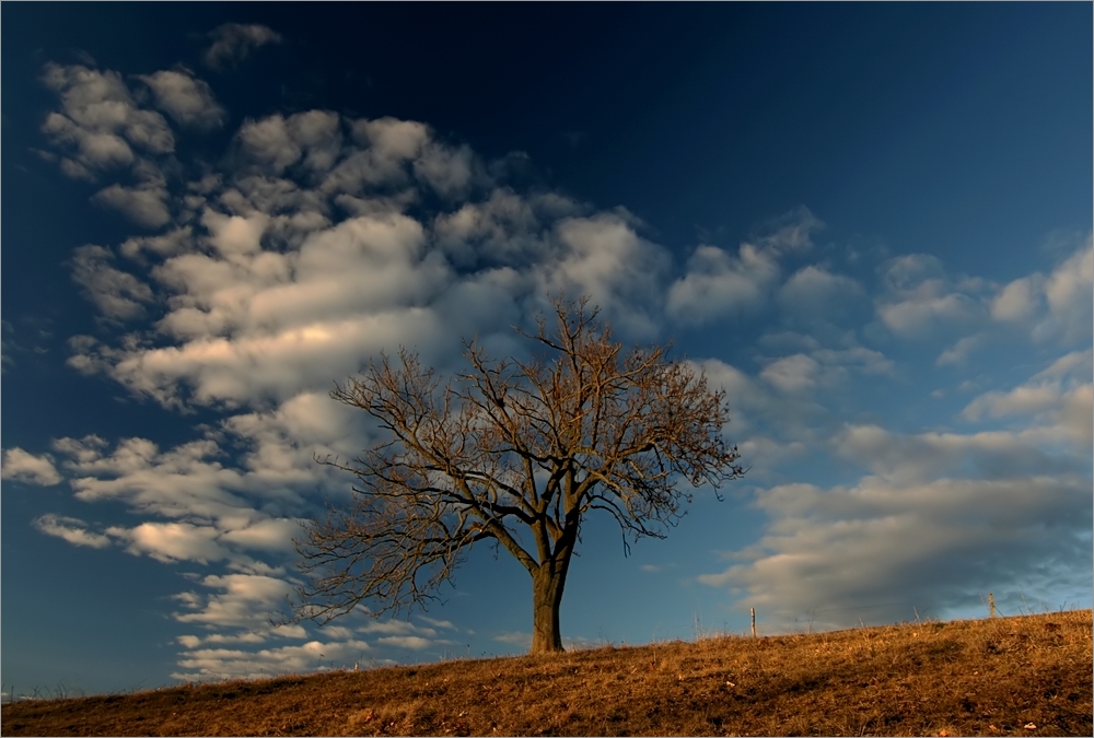 22.02.2014_Abendsonne