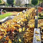 22.10.2019 Friedhof Dinkelsbühl Mönchsrother Straße 