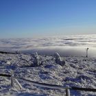 22.12.2006 :Über den Wolken auf dem BROCKEN im Harz