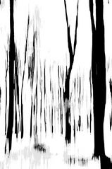 2220 ... abstrakter Wald ... 