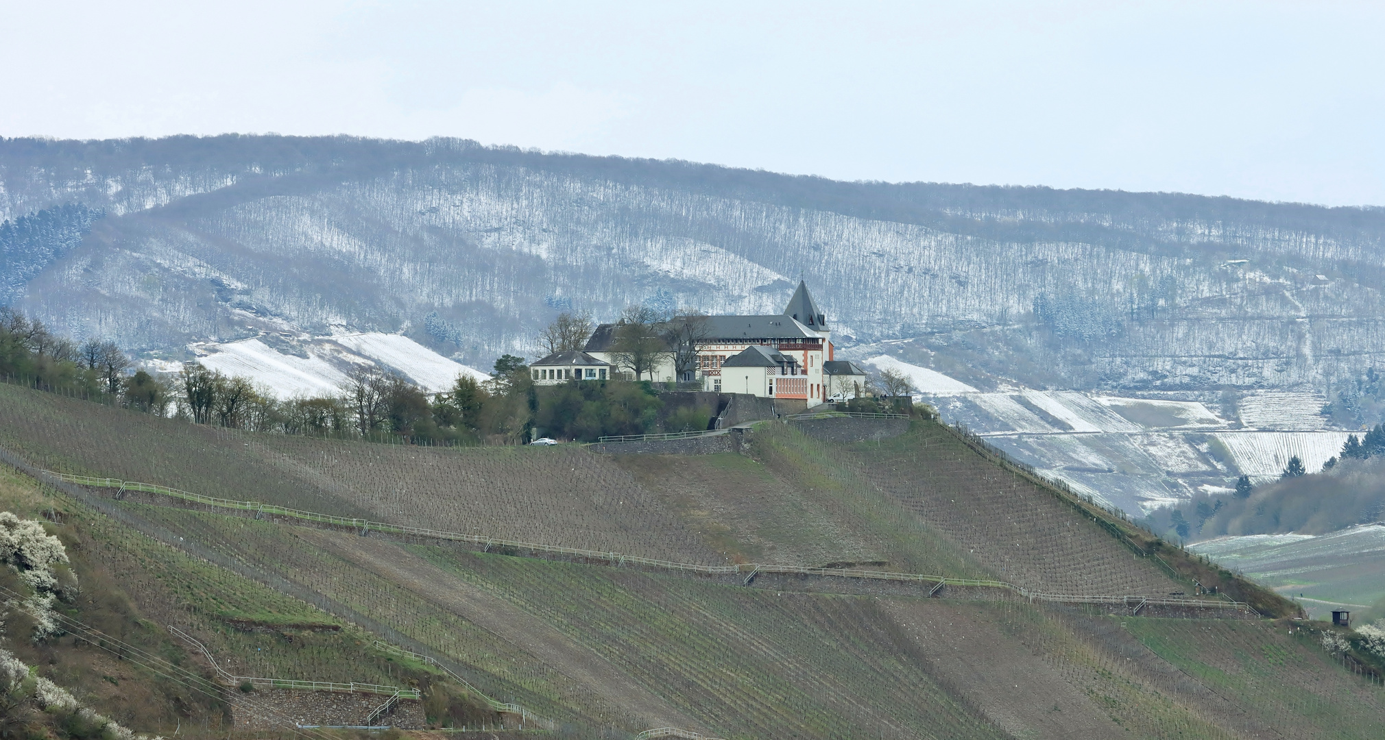 22232 später Wintereinbruch um die Marienburg