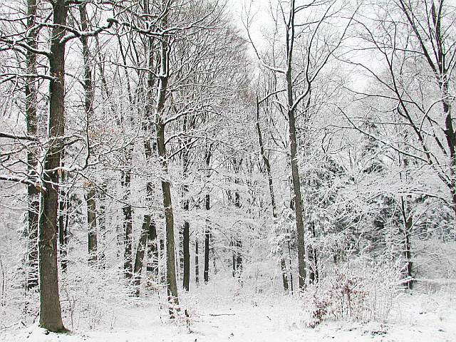 22.4.2001: Winterlandschaft in Ulm!