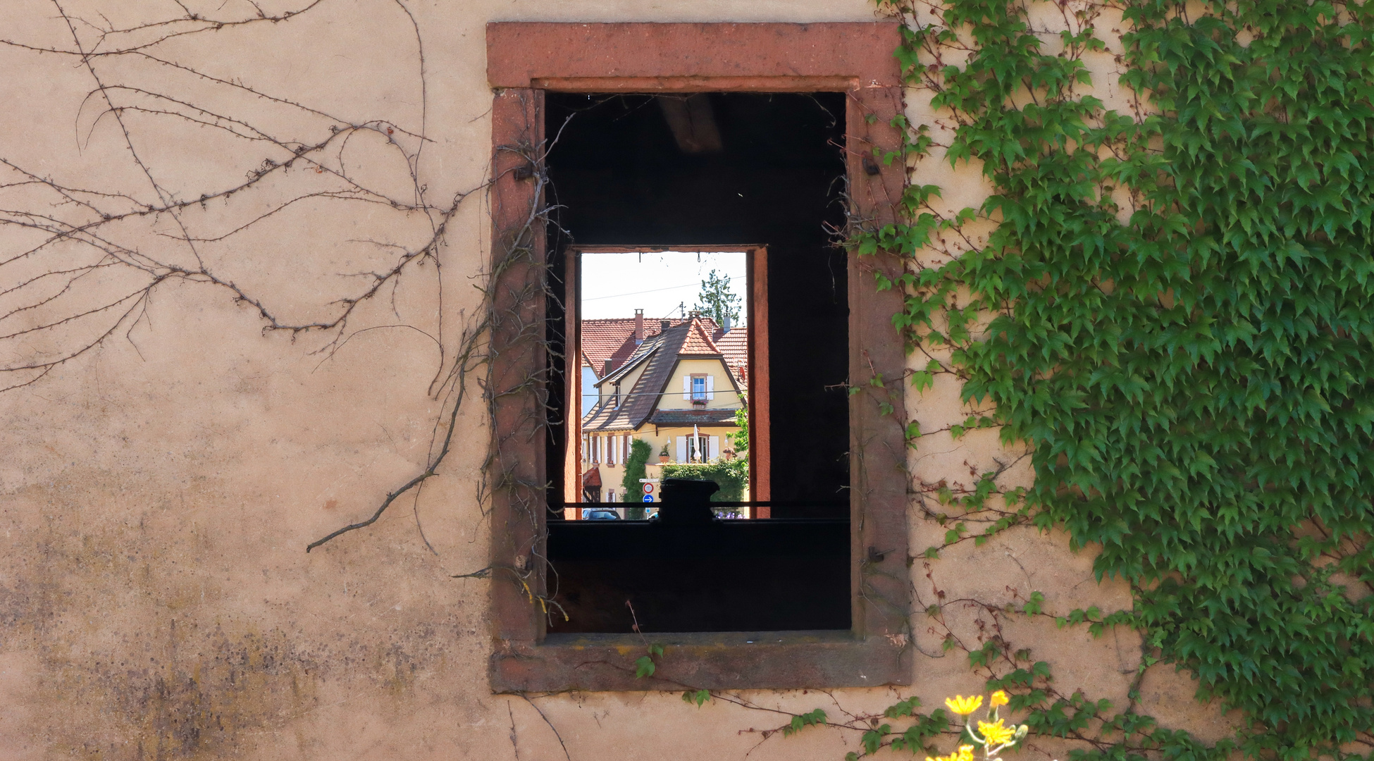 22430 ein Fensterblick in Wissembourg (Fabourg de Bitche)