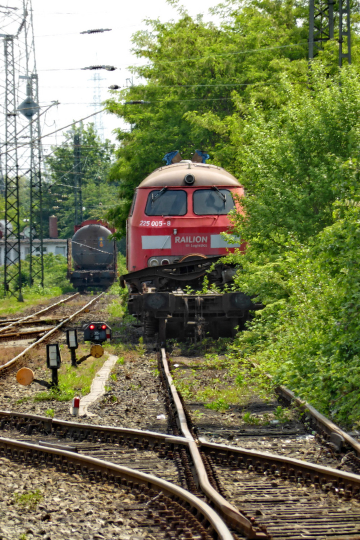 225 005-8 Railion - Dornröschenschlaf