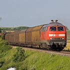 225 007 in Rammingen