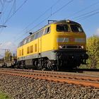 225 010-8 DB vor einem Ganzzug