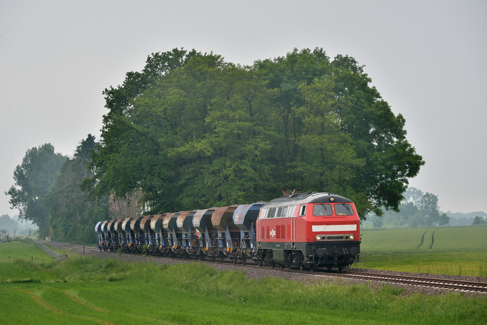  225 079-3 --LWC-- am 04.06.21 zwischen Bad Laer und Glane auf der TWE