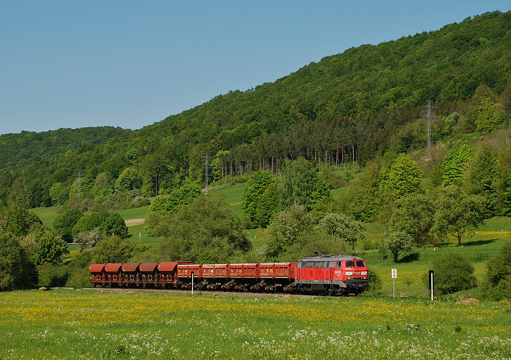 225er Güterzug - ein Traum