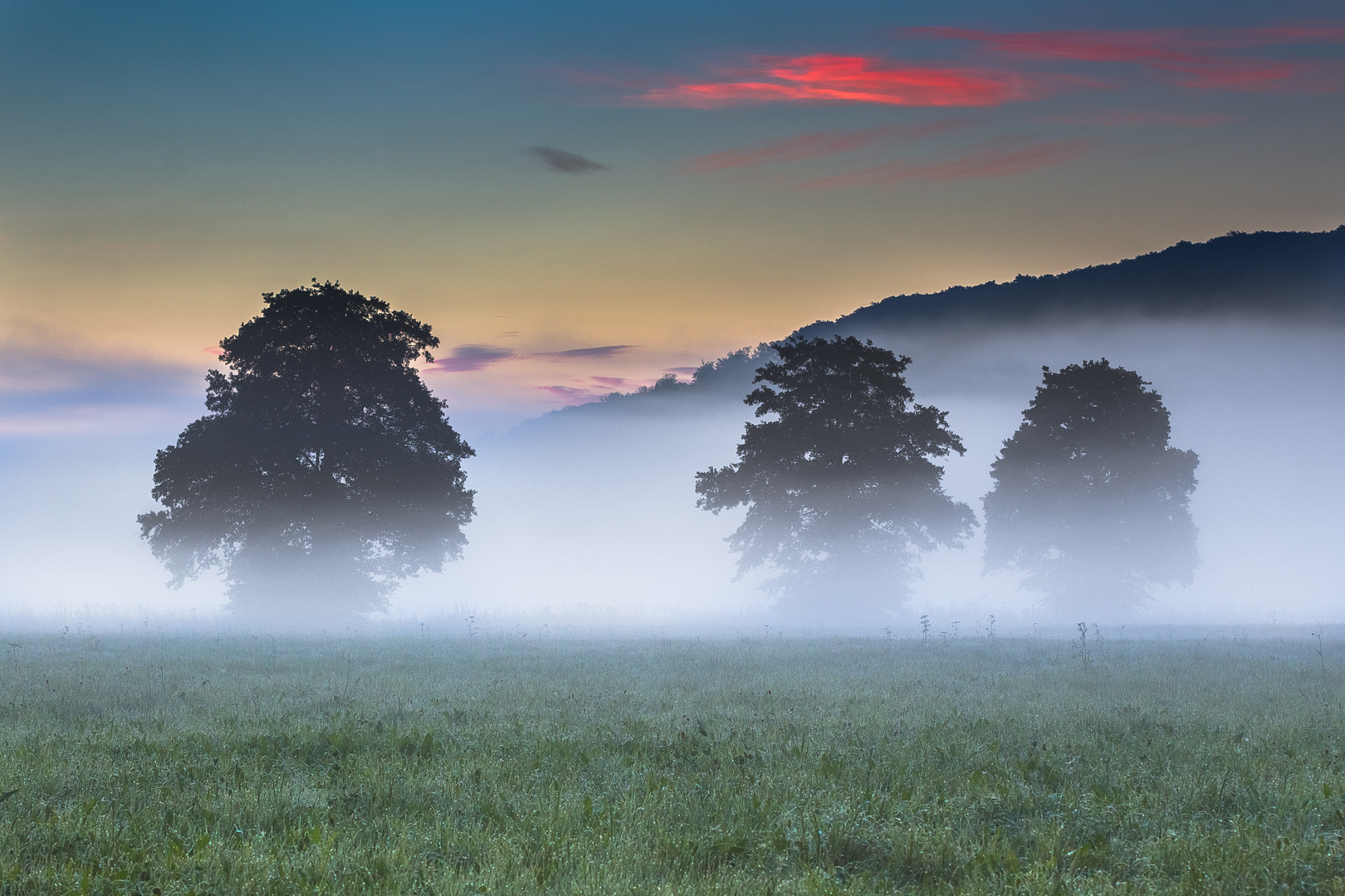 22.7.2015 Morgens um 4:30 Uhr in den Lahn Auen bei Löhnberg