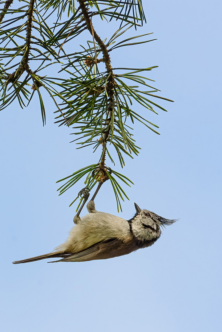 22°C, leichter Wind, Yoga-Kurs - Die Frisur sitzt