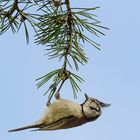 22°C, leichter Wind, Yoga-Kurs - Die Frisur sitzt