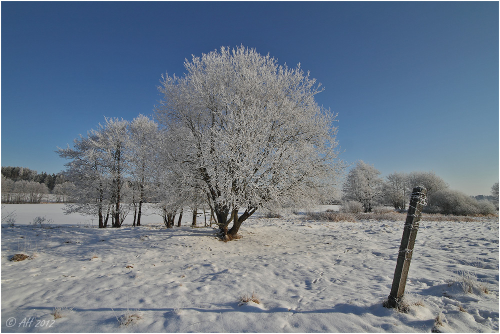 -22°C und Sonne