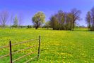 Frühling in Ostholstein von fotomanhs