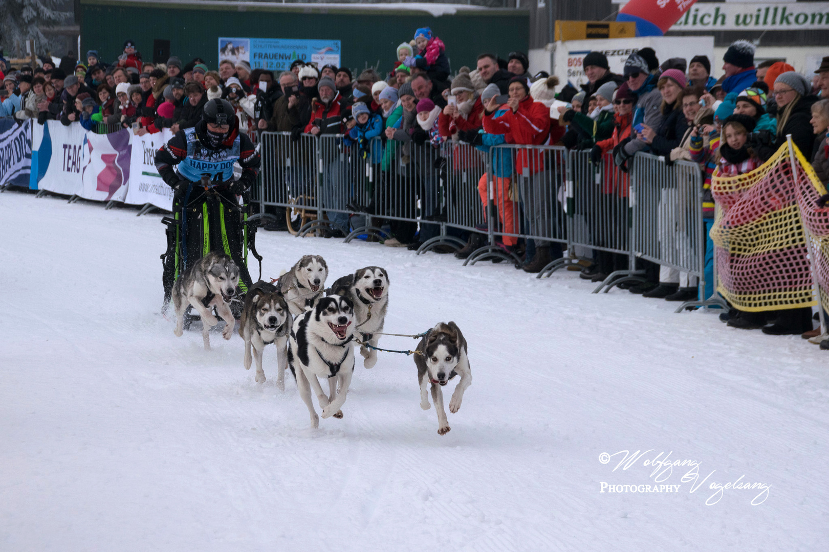 22.Internationales Schlittenhunderennen Frauenwald 2017 - I