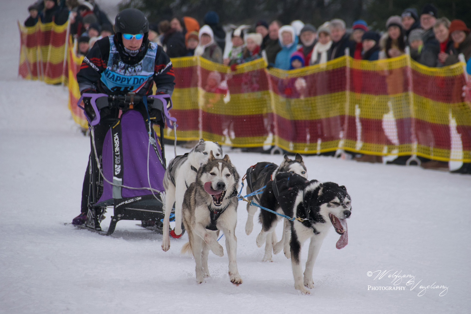 22.Internationales Schlittenhunderennen Frauenwald 2017 - II