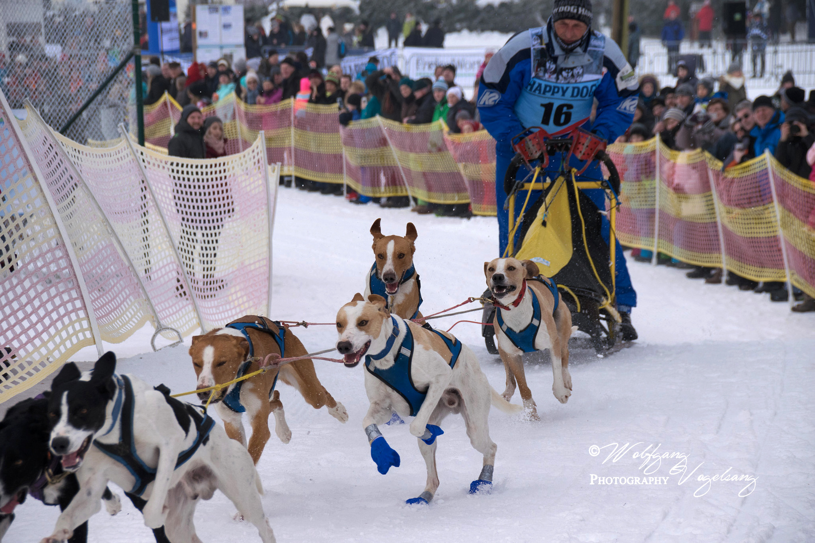 22.Internationales Schlittenhunderennen Frauenwald 2017 - VI