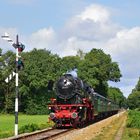 23 071 am 08.09.19 bei Terrug naar Toen bei Loenen