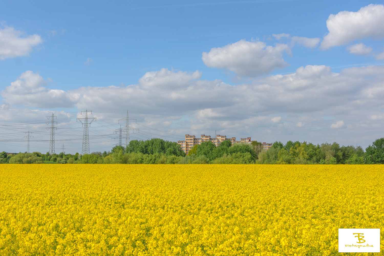 23. April 2017__DSC0109