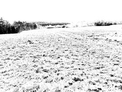 (23) Der erste richtige Schnee diesen Winter - ein wunderschöner Sonntagmorgen-Spaziergang