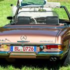 230 SL