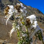 2300 m, 3°, Wind von rechts