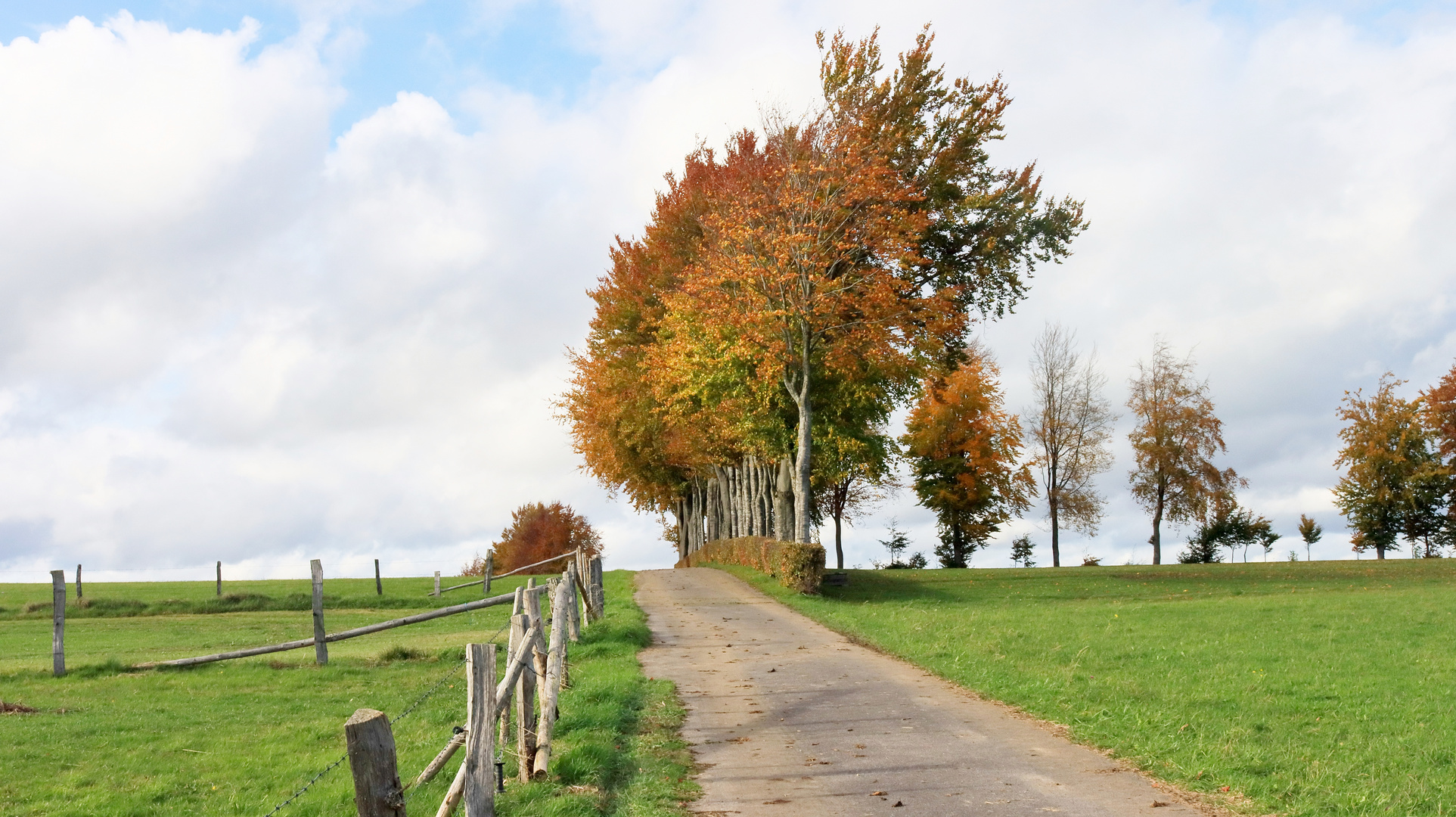 23025 Herbst an der Fucktenhecke