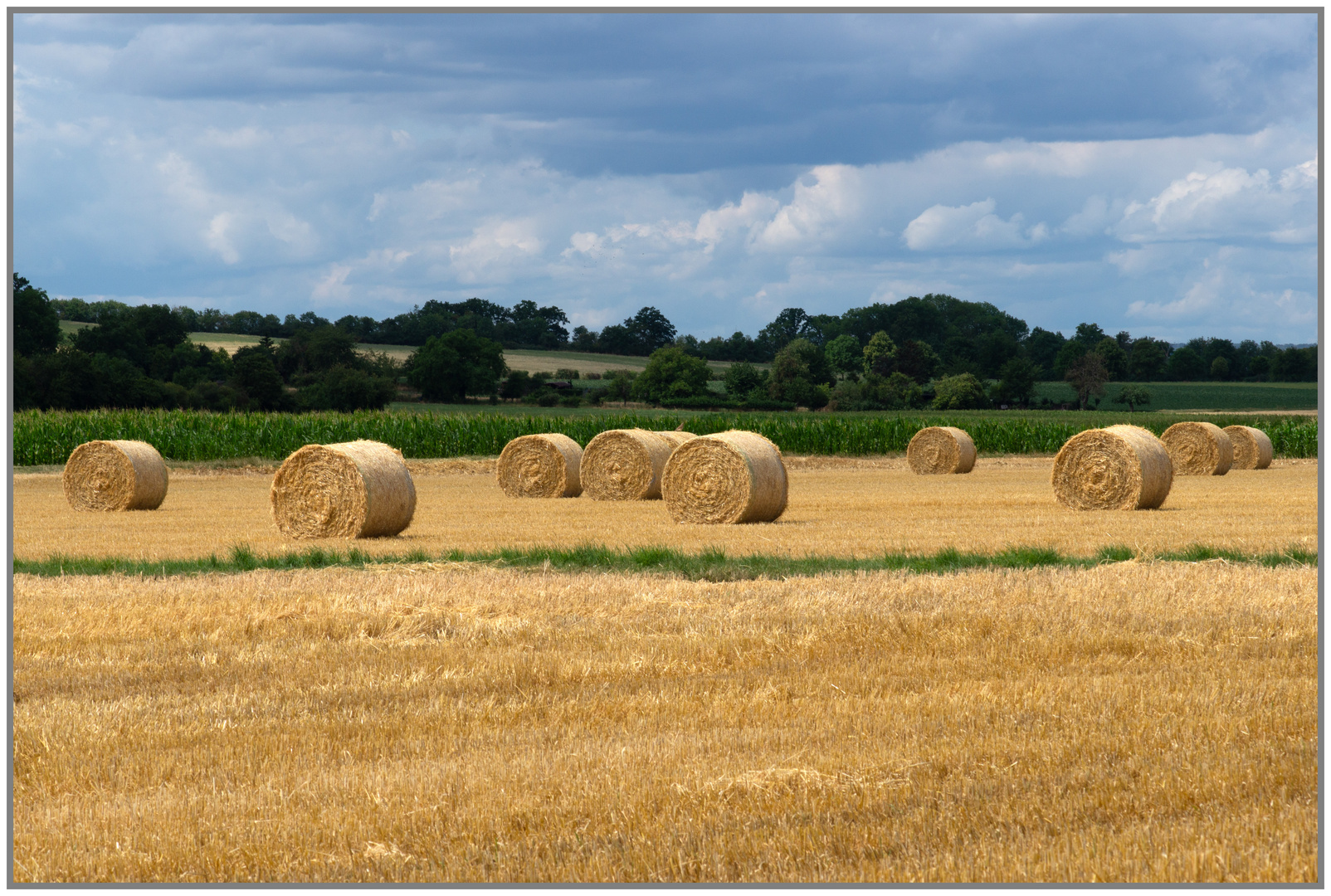 23.07.23 ## Strohballen in der Landschaft ##