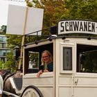 230827 Schwan