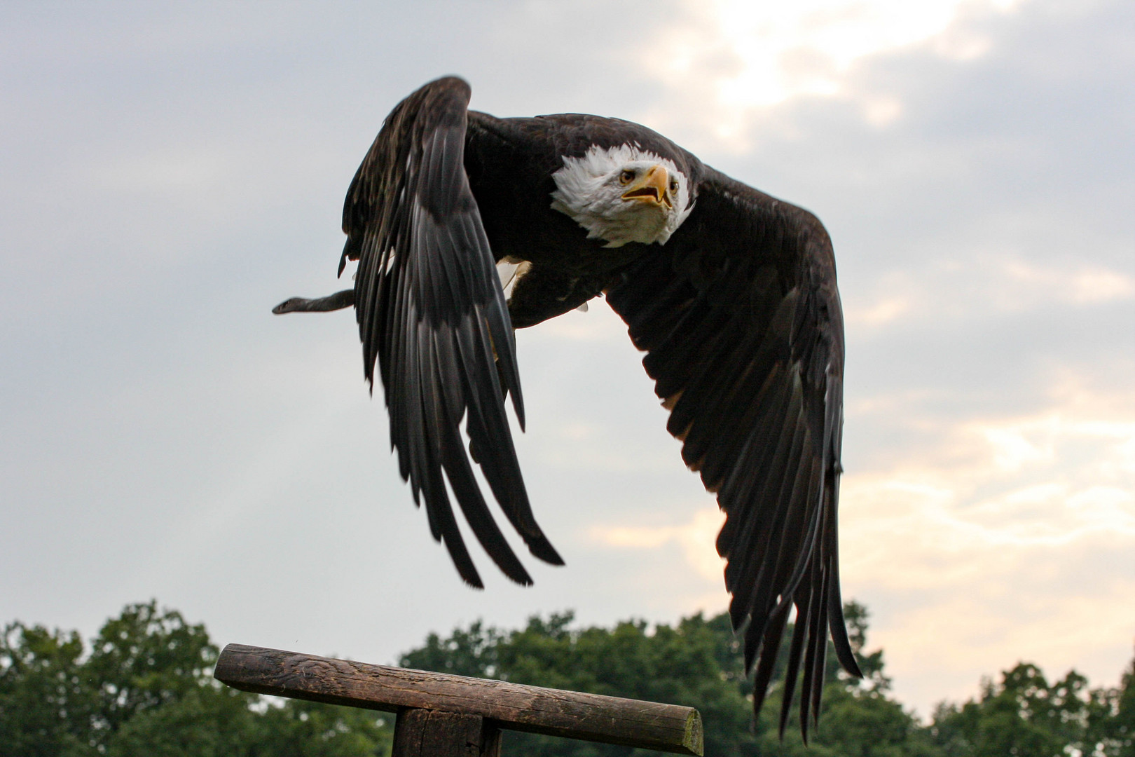 23.09.2016_15-36-44_Tierpark Sababurg