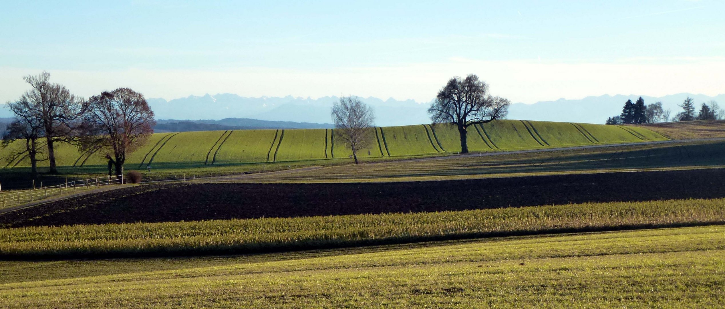 23.12. Föhn in Pleitmannswang