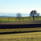 23.12. Föhn in Pleitmannswang