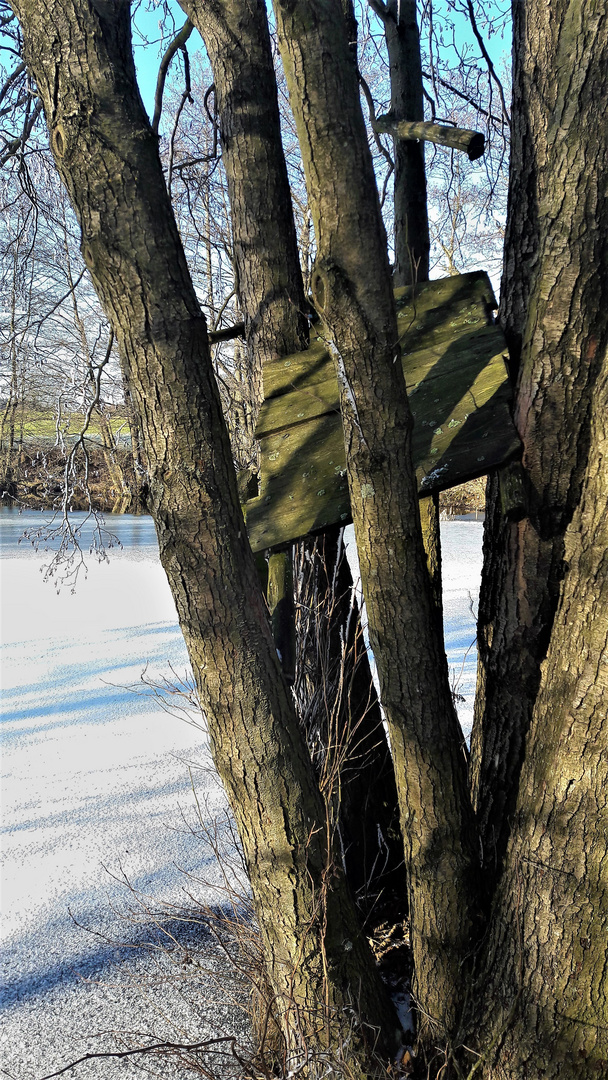 23.1.2020 Abgestürzt am Lernschwimmteich