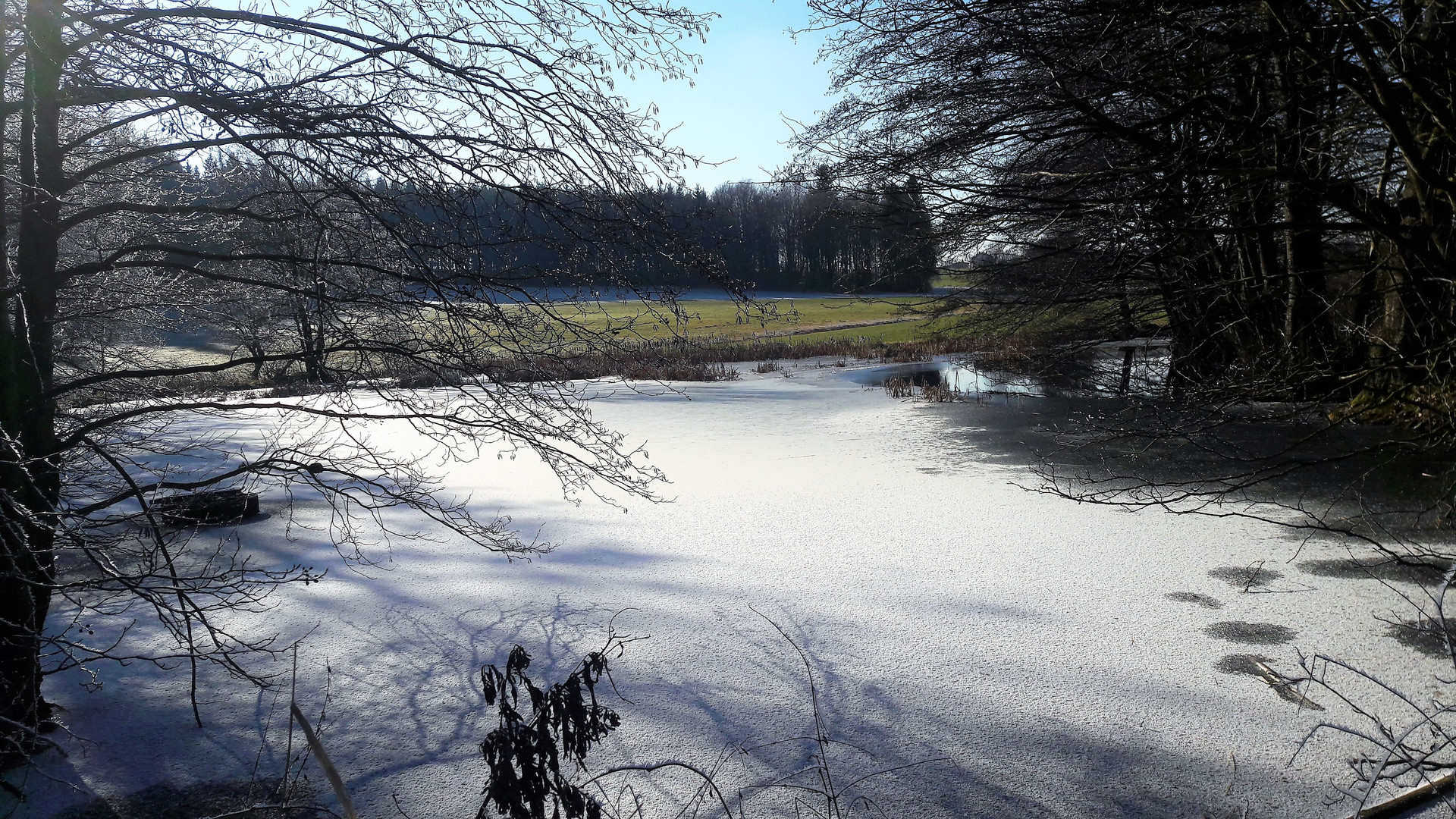 23.1.2020 Es taut am Lernschwimmteich