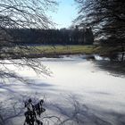 23.1.2020 Es taut am Lernschwimmteich