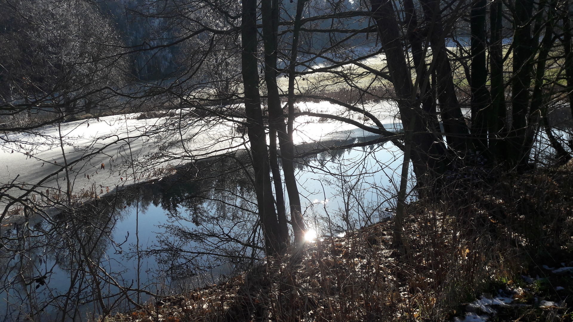 23.1.2020  Lernschwimmteich  mit Sonnenspiegelung