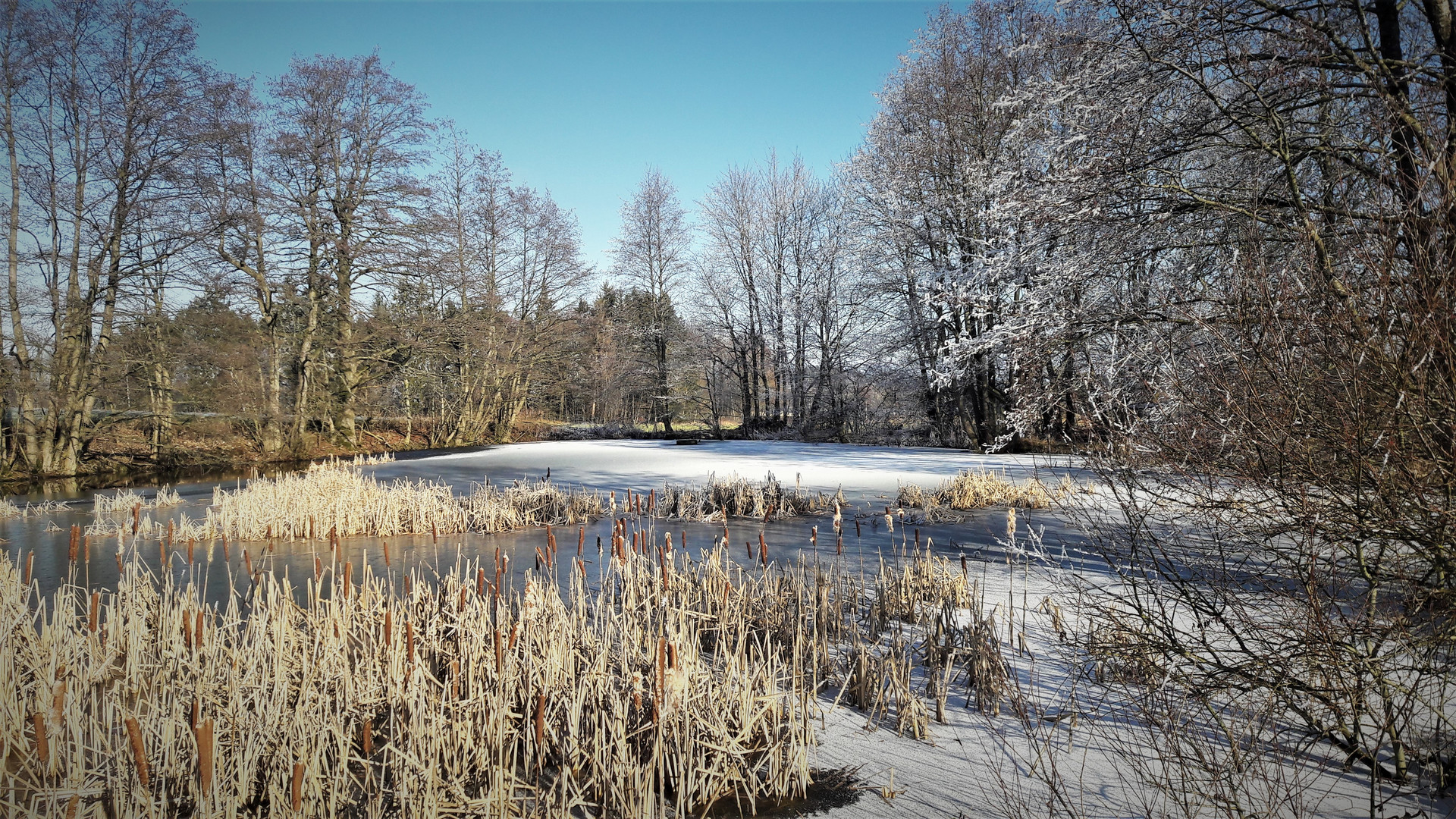 23.1.2020  Mein Lernschwimmteich im Winter