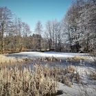 23.1.2020  Mein Lernschwimmteich im Winter