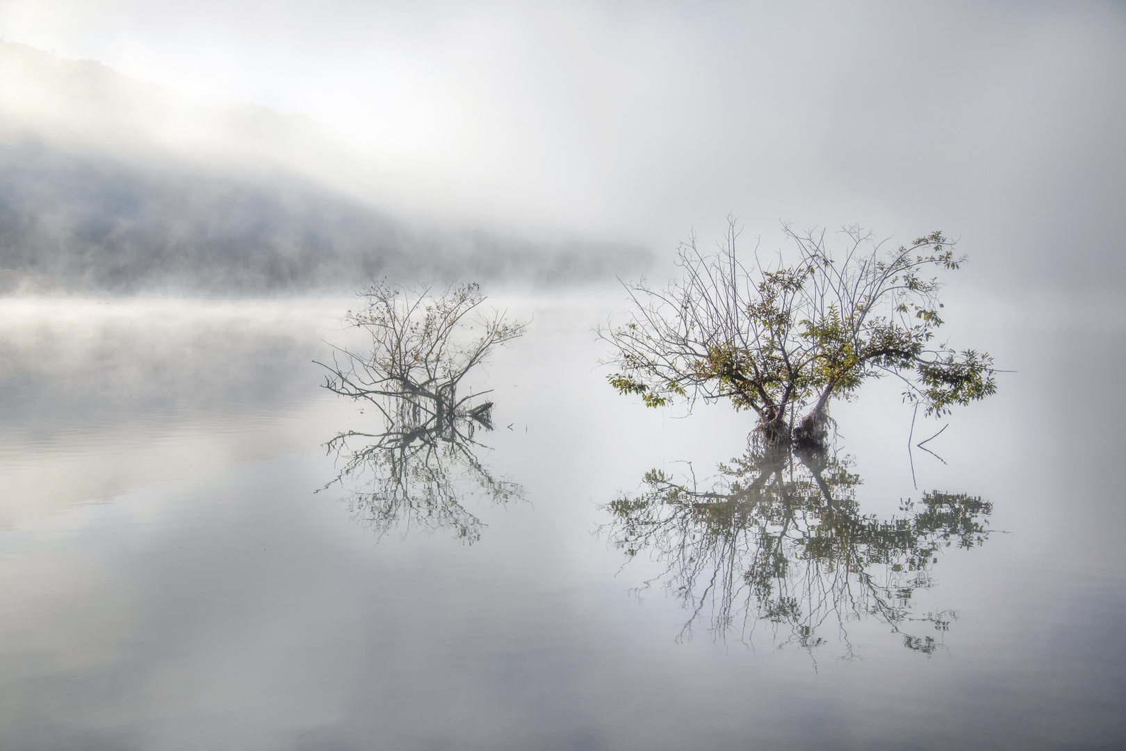 2317 ... Frühnebel am See ... 