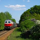 232 005 bei Weiwasser am 15.05.2013