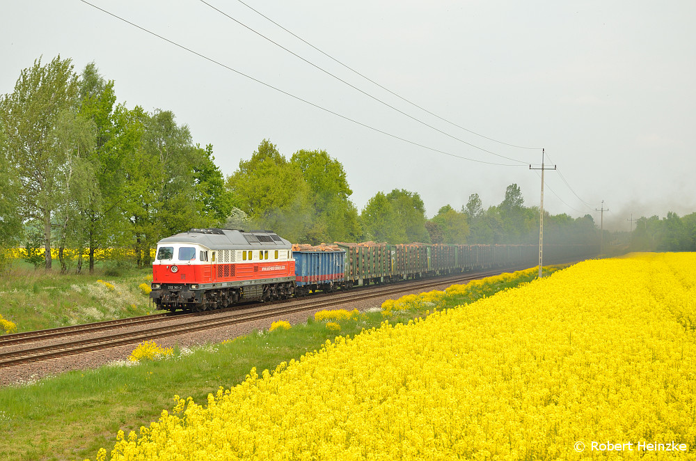 232 141 mit einen vollen Holzzug am 01.05.2014