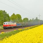 232 141 mit einen vollen Holzzug am 01.05.2014