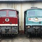 232 158 und 234 304 im Nossner Lokschuppen